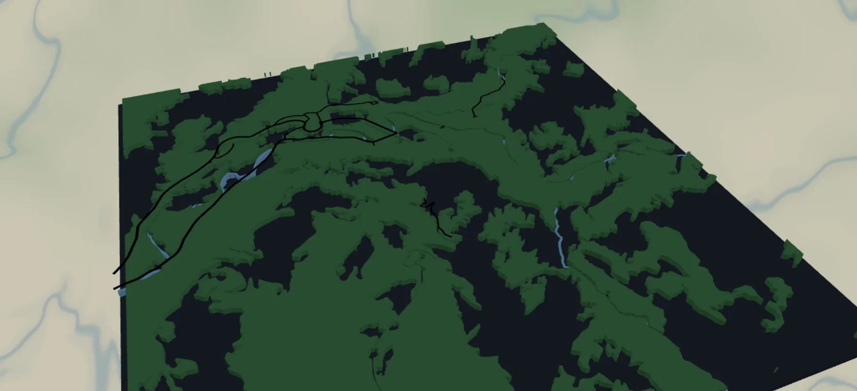 Forest Trails